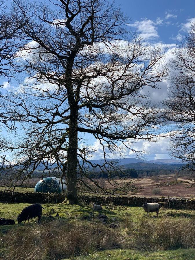 Cardross Estate Glamping Pods Campeggio