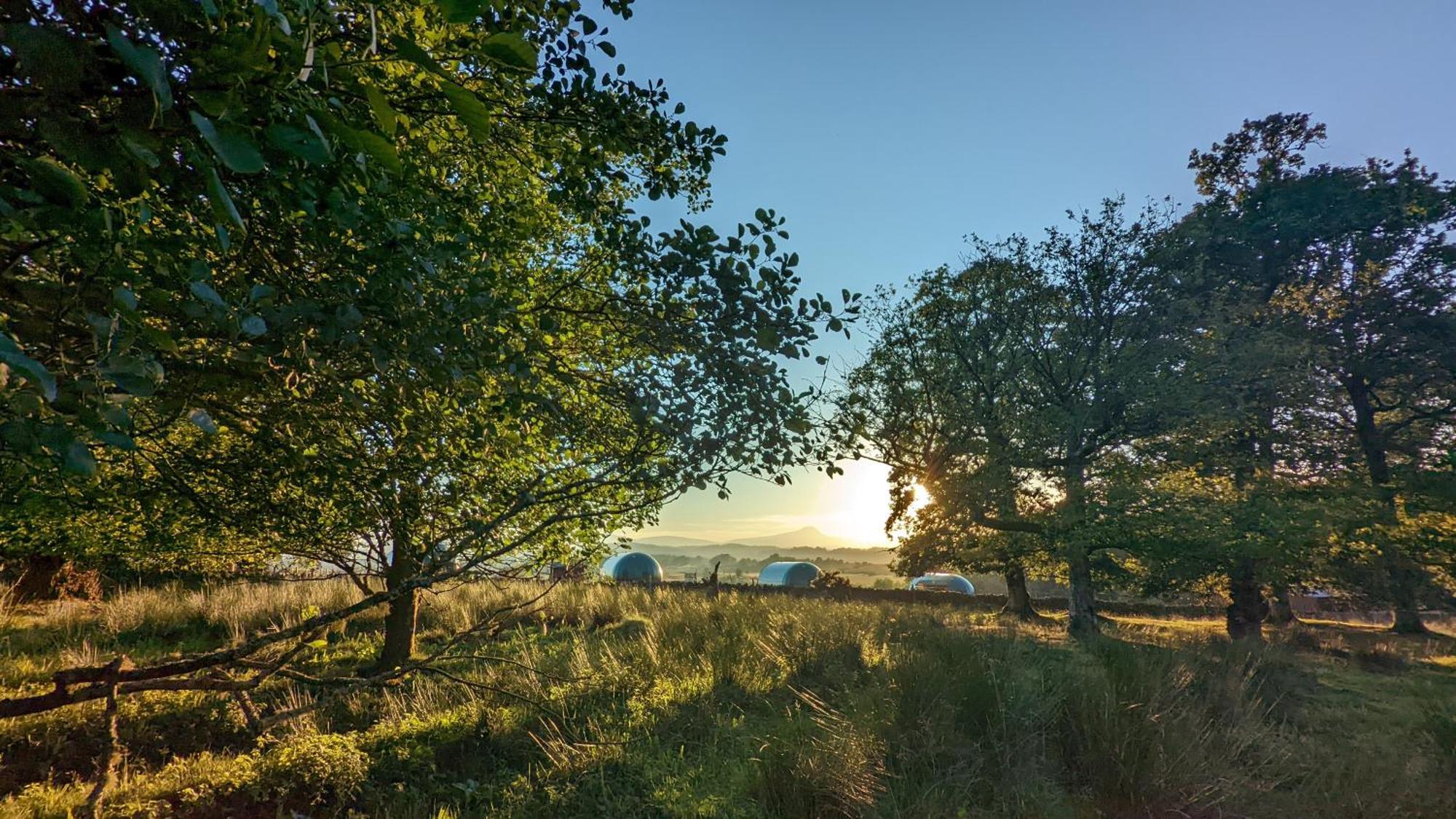 Cardross Estate Glamping Pods Stirling